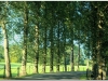 200706-dublin-tissier-by-tgr-106