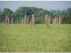 200706-dublin-tissier-by-tgr-77
