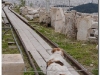 201102-grecja-ateny-delfy-19