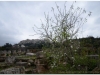 20110227-ateny-agora-133