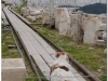 20110227-ateny-akropolis-65