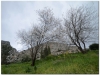 20110228-delfy-101