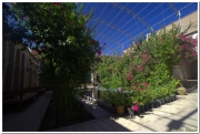 20140822 1 Yazd 50