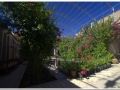 20140822 1 Yazd 50 20140822 1 Yazd 50