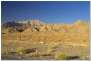 20140823 Bam-Kerman 8