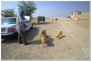 20140827 3 Choga Zanbil 1