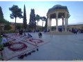 20140824 Shiraz 37