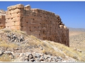 20140825 1 Pasargadae 28