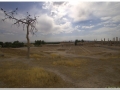 20140825 3 Persepolis 30