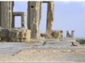 20140825 3 Persepolis 86