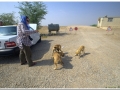 20140827 3 Choga Zanbil 1