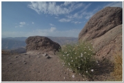 20140902 Alamut Valley&Castle 33