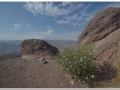 20140902 Alamut Valley&Castle 33
