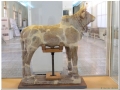 20140904 Teheran 24