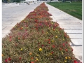 20140905 Teheran 5