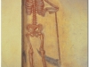 2004-isolaccia-1