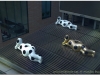 20120825-japonia-tokio-hakone-16