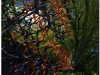 20120825-japonia-tokio-hakone-44