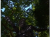 20120825-japonia-tokio-hakone-92