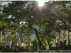 20120827-kamakura-122_3_4_tonemapped