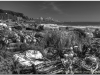 20120827-kamakura-81bw