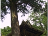 20120828-japonia-nikko-42
