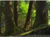 20120828-japonia-nikko-65
