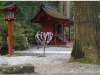 20120828-japonia-nikko-98