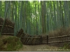 201200831-japonia-kioto-133