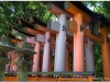 201200831-japonia-kioto-2