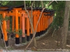 201200831-japonia-kioto-49