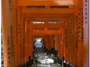 201200831-japonia-kioto-51