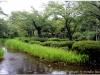 20120902-japonia-kanazawa-104