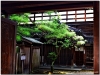20120902-japonia-kanazawa-20b