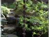 20120902-japonia-kanazawa-67