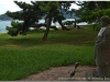 20120903-japonia-amanohashidate-14