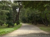 20120903-japonia-amanohashidate-25