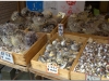 20120903-japonia-amanohashidate-73