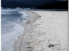 20120903-japonia-amanohashidate-84