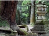 20120905-japonia-nara-104