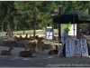 20120905-japonia-nara-15
