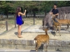 20120905-japonia-nara-51