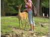 20120905-japonia-nara-63