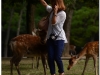 20120905-japonia-nara-70
