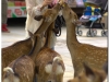 20120905-japonia-nara-80