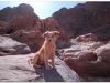jordania-2010-part2-8