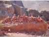 20101104-jordania-petra-58