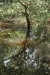 3-camb-aw_046.jpg
