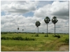 20081119-kambodza-phnom-penh-88b