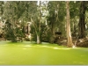 20081121-kambodza-siem-reap-239